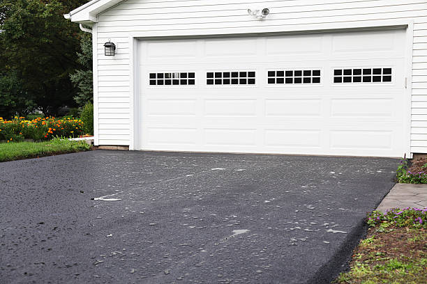 Best Carpet Removal and Disposal  in Marion, MS